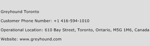 Greyhound Toronto Phone Number Customer Service